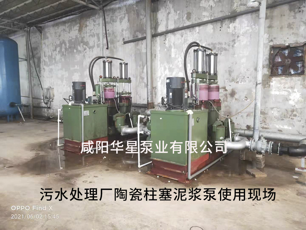 廣東陶(tao)瓷柱塞泵