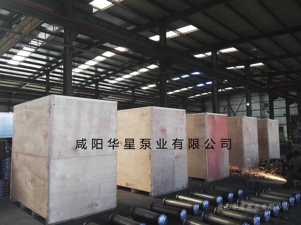 陶瓷柱(zhu)塞泵發(fā)貨視頻(pín)