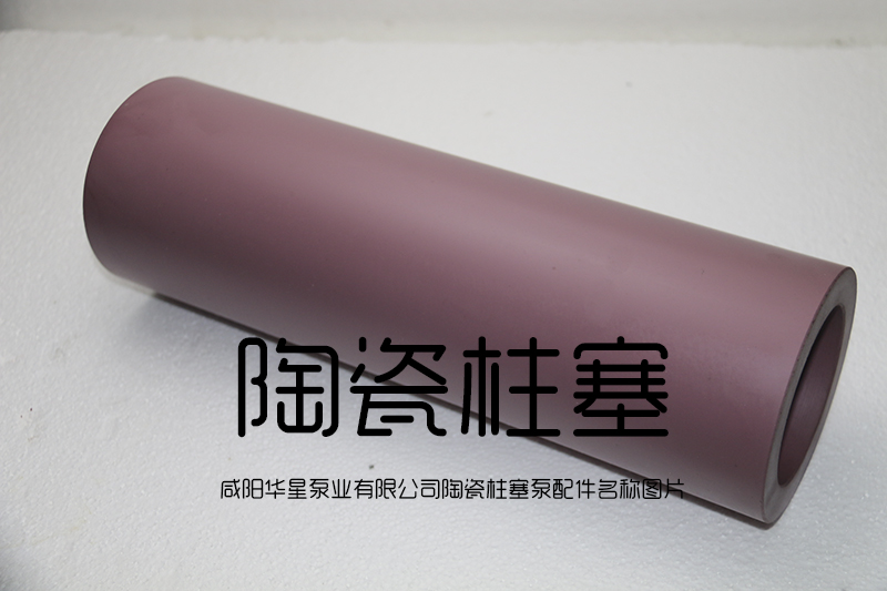 陶瓷柱(zhu)塞泵陶(táo)瓷柱塞(sāi)