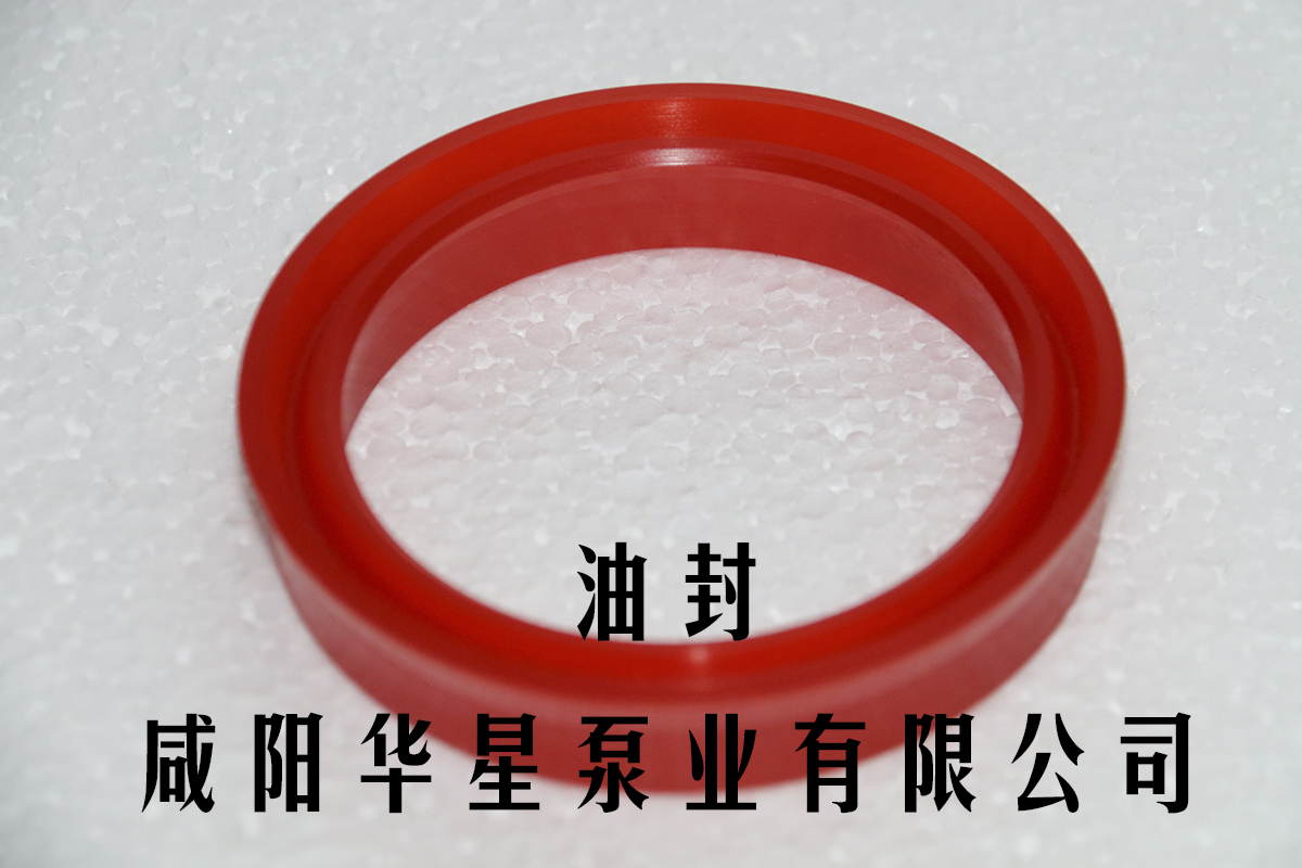 陶瓷(cí)柱塞泵(beng)油封