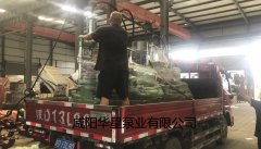 陶瓷柱塞(sai)泵發貨給(gěi)客戶