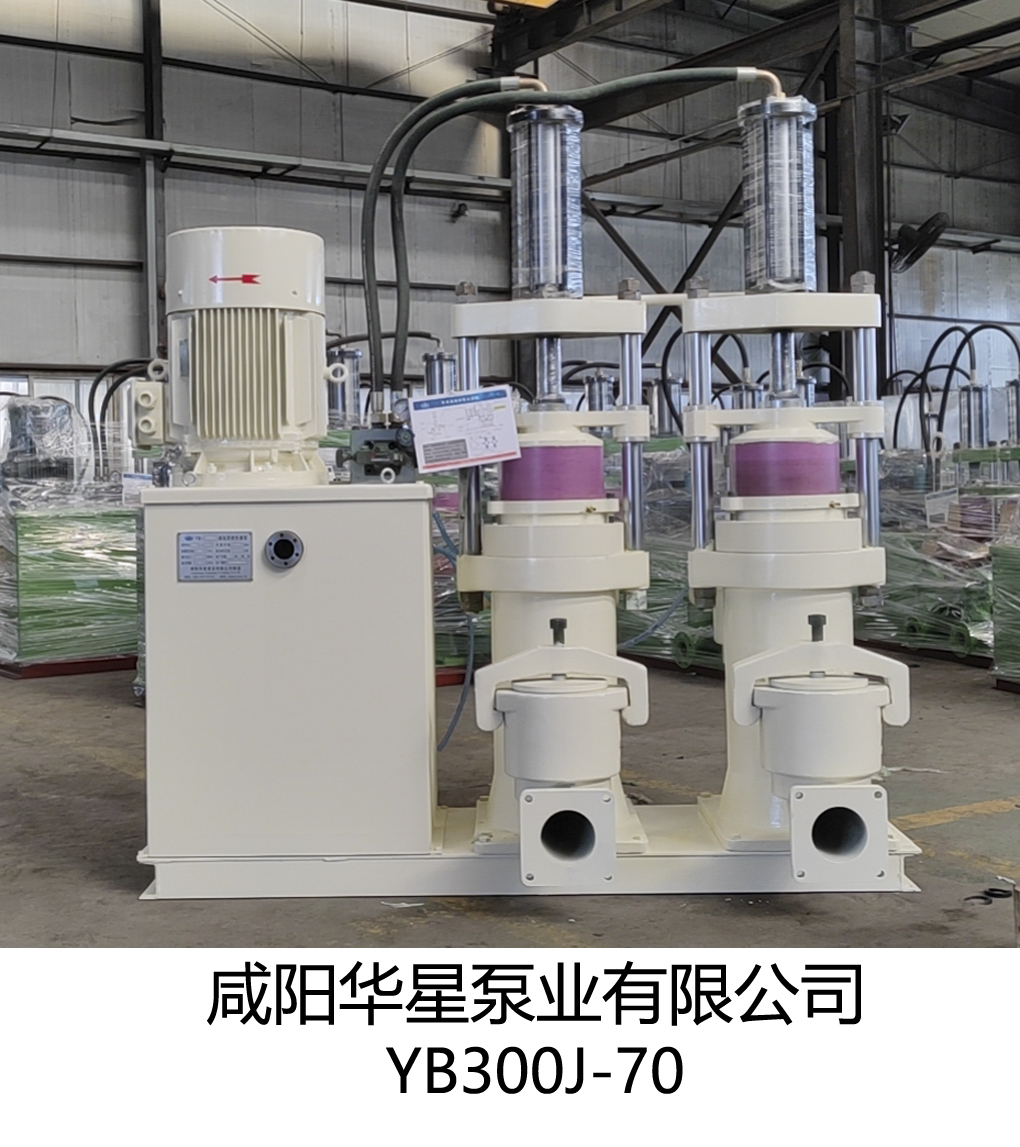 YB300J-70陶瓷柱塞泵(beng)正面
