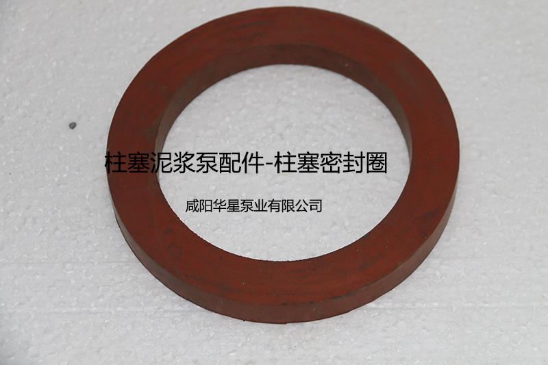 柱(zhù)塞密封圈