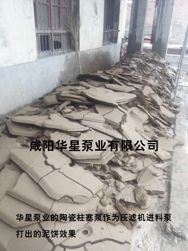 華(hua)星泵業泥餅-水(shui)印 華星泵業泥(ní)餅-水印