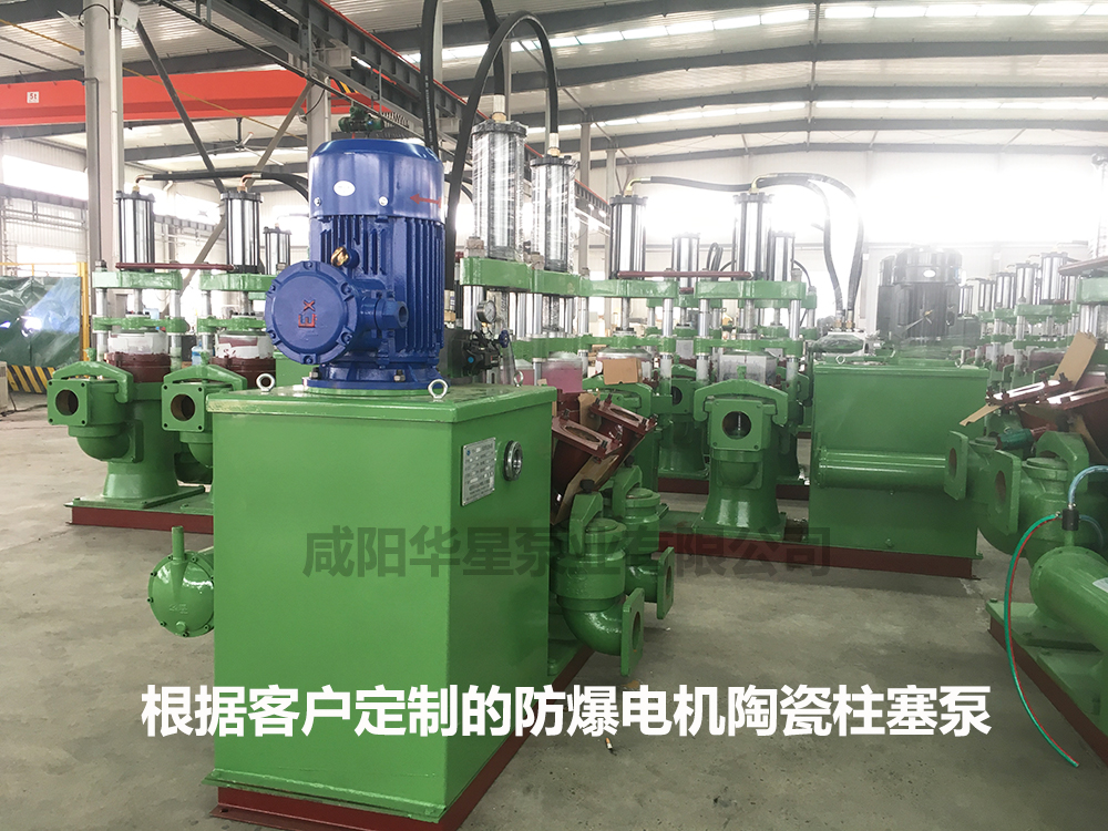 YB250型防爆(bào)電機款陶瓷柱(zhù)塞泵