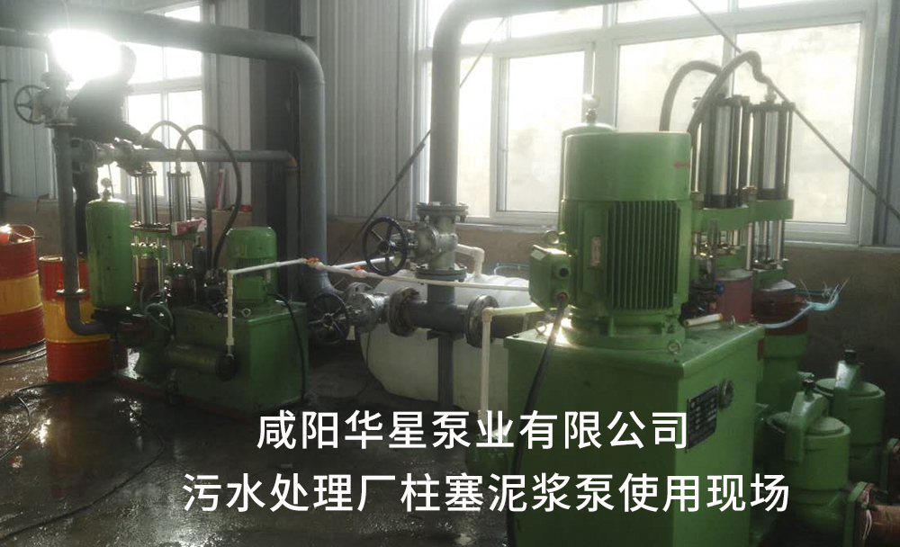 污水處(chù)理廠用陶瓷(cí)柱塞泥漿泵(beng)