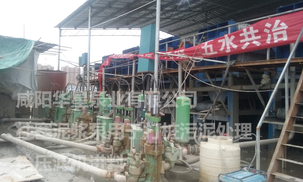 陶瓷(cí)柱塞泵說(shuo)明書